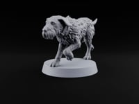 Running Wild Feral Beast and Elf Beastamer D turntable