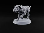 Running Wild Feral Beast and Elf Beastamer D turntable