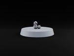 Pecking Order Barnyard Chicken A turntable