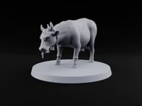 Barnyard Antics Barnyard Animal D turntable