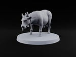 Barnyard Antics Barnyard Animal D turntable
