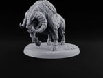 On the Rampage Gorthek Beast C turntable