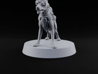 At Heel British War Dog Team Member D turntable
