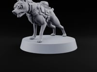 Pointing the Way Human and War Dog Team Member B turntable