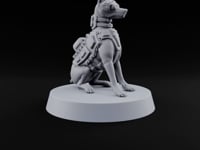 Pointing the Way Human and War Dog Team Member D turntable