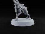 Pointing the Way Human and War Dog Team Member C turntable