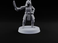 Swords Drawn Sword Drawn Human Umikage Guard A turntable
