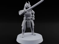 Swords Drawn Sword Drawn Human Umikage Guard D turntable
