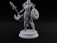 The Web Draws Tight Elite Drow Soldier B turntable