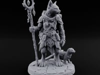 One Trail, Two Sets of Paws Tabaxi Beast Master turntable