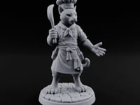 The Special Has Claws Tabaxi Chef turntable