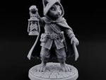 Curiosity Carries a Light Tabaxi Scout turntable