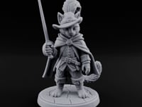 The Challenge Needs No Words Tabaxi Swashbuckler turntable