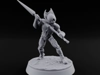The Hive Sent No Warning Thri-kreen Spearman A turntable