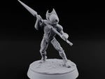 The Hive Sent No Warning Thri-kreen Spearman A turntable