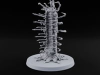 Something Took Root Here Bone-Spined Roper turntable
