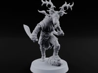 The Menagerie Holds Court Shifter Animal Lord C turntable