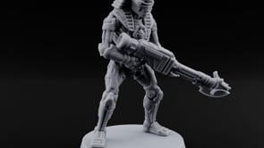 Sandstorm Protocol Warforged Scarab Soldier D turntable