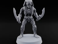 Sandstorm Protocol Warforged Scarab Soldier F turntable
