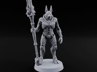 Duty Beyond the Afterlife Gnoll Armoured Jackal Guard with Staff B turntable