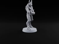 Duty Beyond the Afterlife Gnoll Armoured Jackal Guard with Staff A turntable