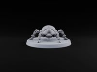 Its Lens Never Blinks Retriever Beetle-Shelled Construct turntable