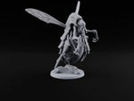 Bloodbank Overdrafts Due Chasme Winged Insect Demon A turntable