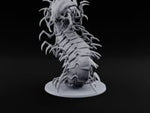Legs for Days Giant Centipede with Raised S-Curved Body turntable