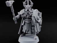 Shields Locked, Horns Lowered Human Huscarl Warrior G turntable
