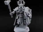 Shields Locked, Horns Lowered Human Huscarl Warrior G turntable