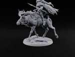 Riding Out Under Northern Lights Elf Elk Rider D turntable