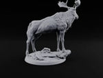 Antlers Up, Snow Underhoof Elk Beast B turntable