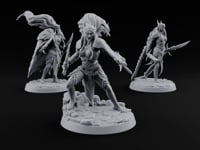 Quiet Until the Hair Flies Elf Sentinel Rogues turntable