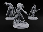 Quiet Until the Hair Flies Elf Sentinel Rogues turntable