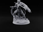 Braid Cracks Like a Whip Elf Sentinel Swordswoman B turntable
