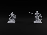 Lunge Now, Braid Later Elf Sentinel Spear Warriors turntable