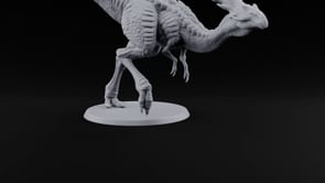 Long Necks, Short Tempers Ceratopsian Dinosaur A turntable