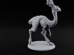 Long Necks, Short Tempers Ceratopsian Dinosaur C turntable