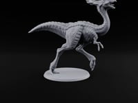 Long Necks, Short Tempers Ceratopsian Dinosaur B turntable
