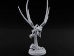 Shrieks Trailing Embers Chasme Winged Bomber B turntable