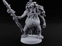 The Mushrooms Moved In Rent-Free Troll Spear Warrior turntable