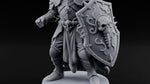 Oaths Outlived Death Knight Shield Warrior E turntable