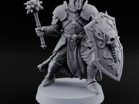 Oaths Outlived Death Knight Shield Warrior D turntable