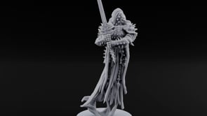 Hanging Hems Wraith Sword Warrior C turntable