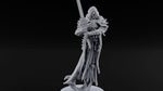 Hanging Hems Wraith Sword Warrior C turntable