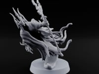 Crowned Over an Empty Hood Wraith Mage C turntable