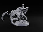 Bloodbank Sprint Team Chasme Demon C turntable