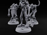 Harvest Moon Hollows Twig Blight Pumpkin Monsters turntable