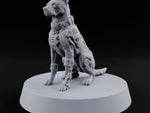 Bite Now, Calibrate Later Hell Hound Cybernetic Dog D turntable