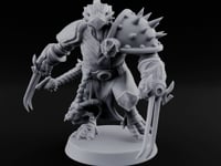 Spiked Shields, Twin Claws Dragonborn Reaver D turntable